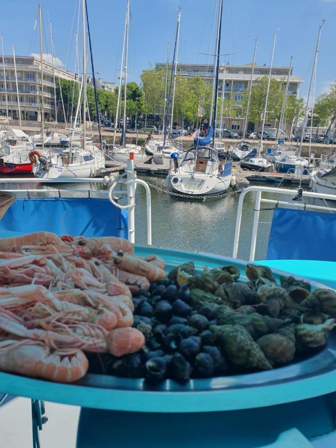 Gite Vedette Hollandaise Lorient Luaran gambar