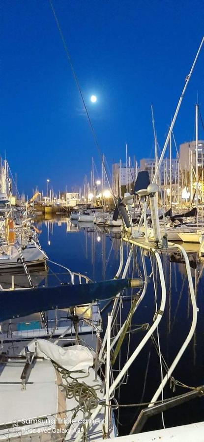 Gite Vedette Hollandaise Lorient Luaran gambar